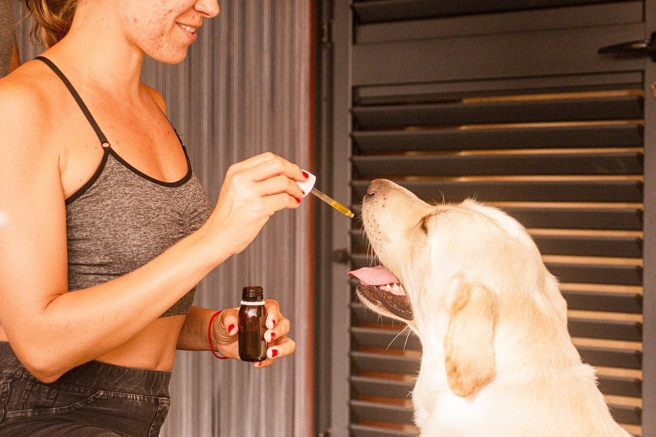 Unlock Wellness: 10 Everyday Ways to Use Cannabis Oil