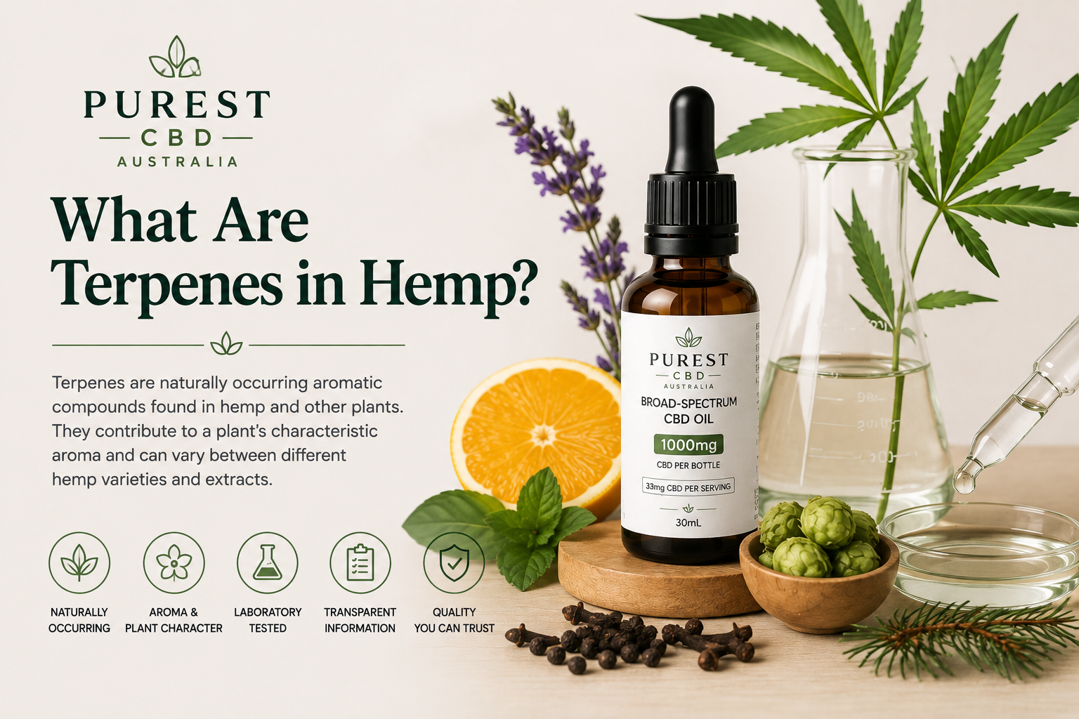 What are terpenes in hemp with broad-spectrum CBD oil, hemp leaves and laboratory testing